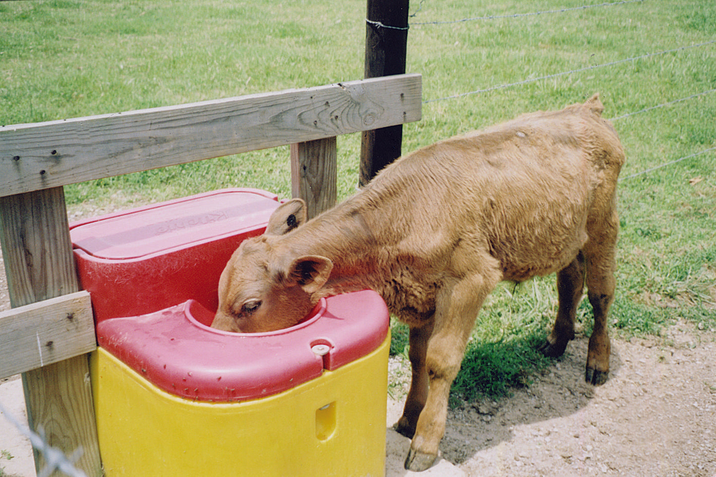 Thrifty King CT2-2000 16299