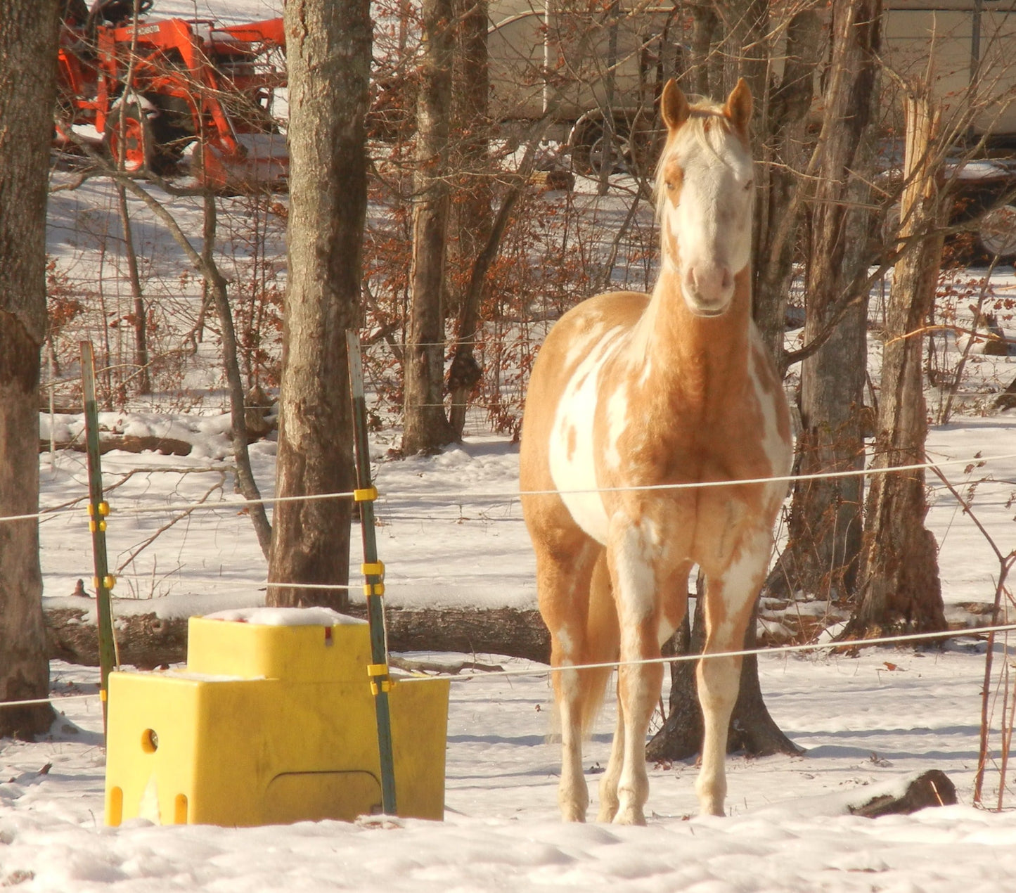 WaterMatic 150 18166