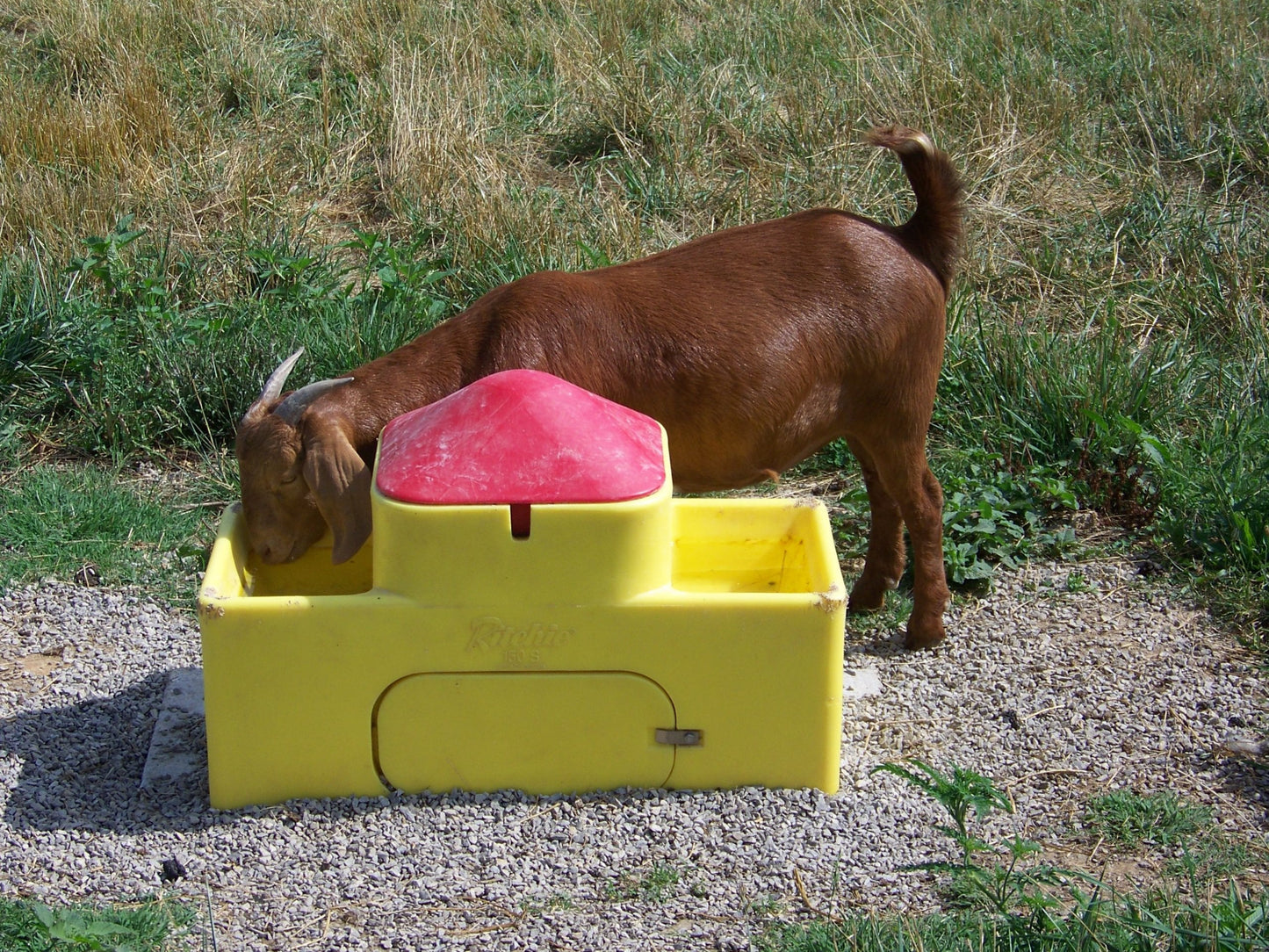 WaterMatic 150S         18222