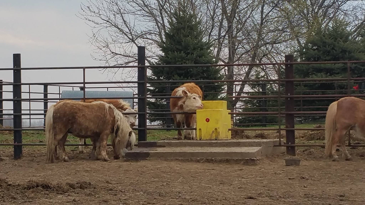 WaterMatic 150 18166