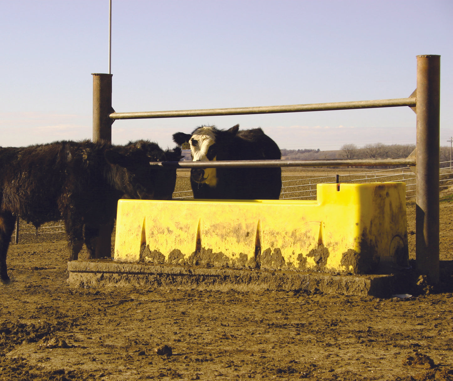 WaterMaster 90 16467