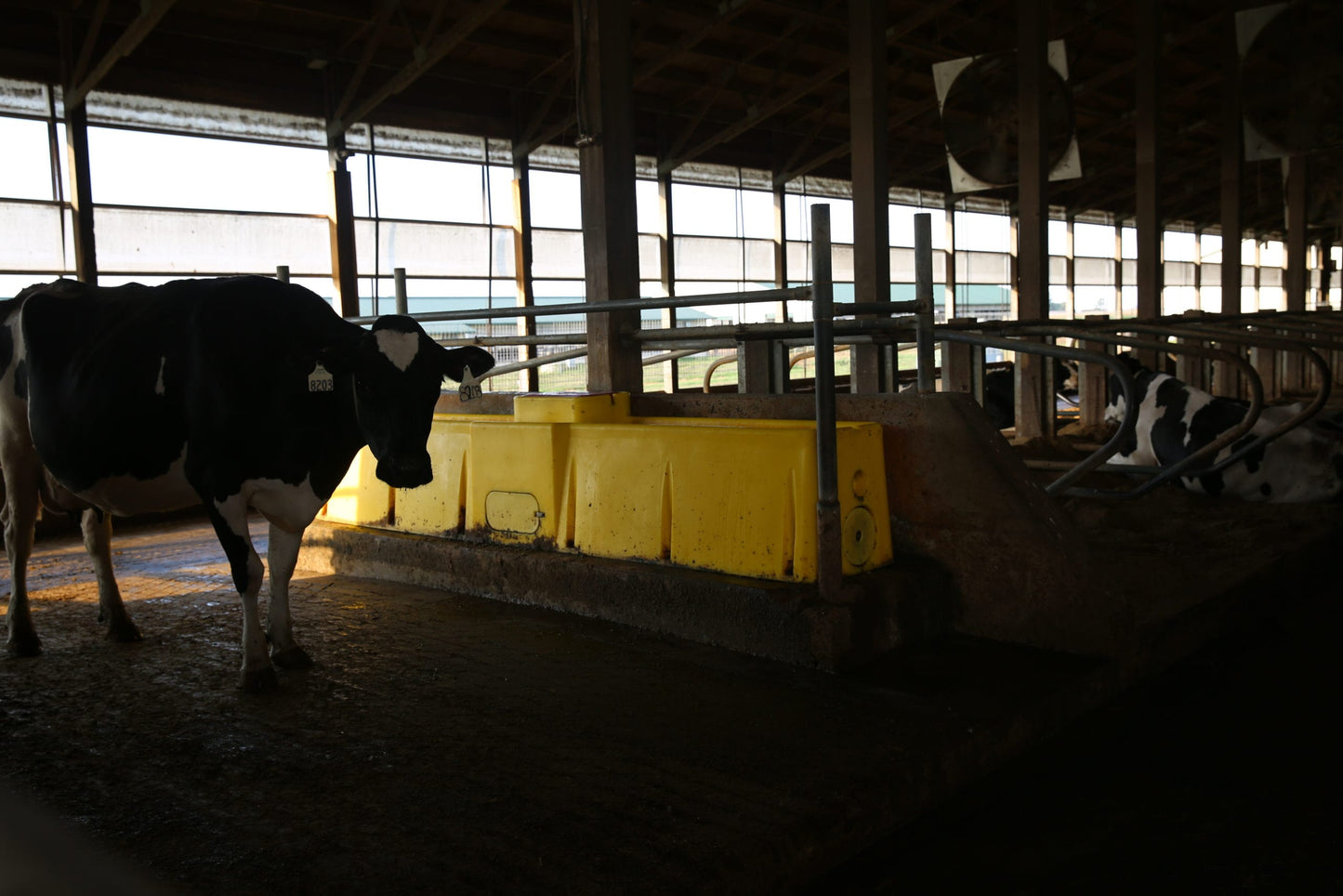 WaterMaster 1200 18053